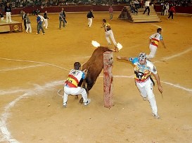 Toro embolado