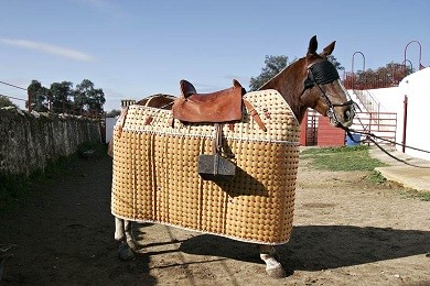 Caballo de Picar