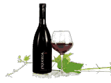 Vino